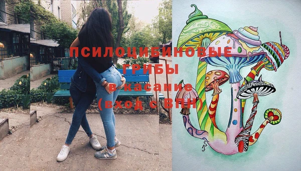 Альфа ПВП Лиски