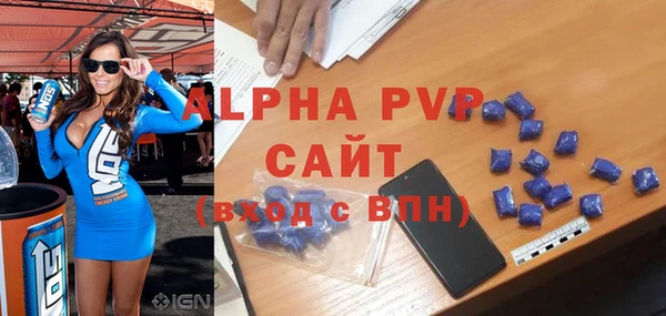 прущие грибы Лабытнанги
